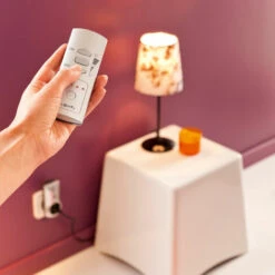 Somfy 2401367 - Télécommande 5 Canaux Pour Prises Et Douilles RTS Blanche 7 Somfy 2401367 - Télécommande 5 Canaux Pour Prises Et Douilles RTS Blanche -ROYAL CANIN Soldes Magasin 20469223 3