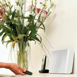 Somfy 2400617 - Télécommande ON/OFF Avec Groupes | Alarme Protexiom -ROYAL CANIN Soldes Magasin 21897301 3