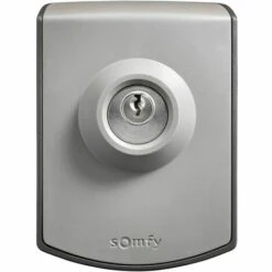 Somfy 2400597 - Commande à Clé Filaire | Contact à Clef Pour Moteur De Portail Ou Garage | Contact Sec -ROYAL CANIN Soldes Magasin 23051570 2