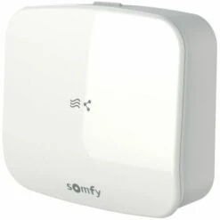 Somfy 1870359 - Récepteur Pour Thermostat Connecté Radio Io