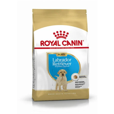 ROYALCANIN Croquettes Royal Canin Labrador Retriever Junior Sac 3 Kg 3 ROYALCANIN Croquettes Royal Canin Labrador Retriever Junior Sac 3 Kg