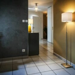 Somfy 2401073 - Récepteur D'éclairage Intérieur ON/OFF RTS | 500W Maxi | Compatible TaHoma (switch) -ROYAL CANIN Soldes Magasin 29466022 3