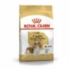 Croquettes Royal Canin Cavalier King Charles : 1,5 Kg -ROYAL CANIN Soldes Magasin 32476766 1