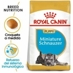 Nourriture Que Royal Canin Miniature Schnauzer Chiot Chiots (Junior) Chiens Chiots (jusqu'š 10 Mois)