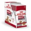 Royal Canin Adulte Moyen Vieillissement 10+ - Viande š Salsa - 10 Enveloppes X 140 Gr -ROYAL CANIN Soldes Magasin 55419042 1