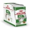 Royal Canin Mini Adulte - Viande š Salsa - 12 Enveloppe X 85 GR 2 Royal Canin Mini Adulte - Viande š Salsa - 12 Enveloppe X 85 GR -ROYAL CANIN Soldes Magasin 55419043 1