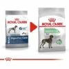 Nourriture Que Royal Canin Maxi Soins Digestifs Grands Chiens Avec Des Pistes Sensibles - SACE 10 Kg