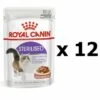 Royal Canin Feline Soins Nutrition Apptit Control, Aliments Creux Dans La Sauce Pour Chat, 12 X 85 G 2 Royal Canin Feline Soins Nutrition Apptit Control, Aliments Creux Dans La Sauce Pour Chat, 12 X 85 G -ROYAL CANIN Soldes Magasin 55424919 1