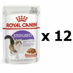 Royal Canin Feline Soins Nutrition Apptit Control, Aliments Creux Dans La Sauce Pour Chat, 12 X 85 G