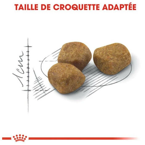 ROYAL CANIN Croquette Chat Royalcanin Indoor 7+ 400gr 4 ROYAL CANIN Croquette Chat Royalcanin Indoor 7+ 400gr – Image 2