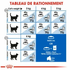 ROYAL CANIN Croquette Chat Royalcanin Indoor 7+ 400gr 9 ROYAL CANIN Croquette Chat Royalcanin Indoor 7+ 400gr -ROYAL CANIN Soldes Magasin 55659503 4