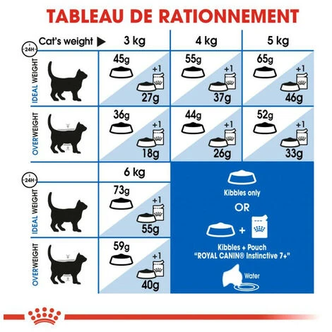 ROYAL CANIN Croquette Chat Royalcanin Indoor 7+ 400gr 6 ROYAL CANIN Croquette Chat Royalcanin Indoor 7+ 400gr – Image 4