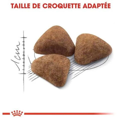 ROYAL CANIN Croquette Chat Royalcanin Indoor 400gr 4 ROYAL CANIN Croquette Chat Royalcanin Indoor 400gr – Image 2