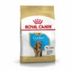 ROYALCANIN Croquettes Pour Chiot Cocker Royal Canin Breed Junior - Sac 3 Kg -ROYAL CANIN Soldes Magasin 8898851 1
