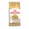 ROYALCANIN Croquettes Pour Chats Royal Canin Siamese Sac 2 Kg -ROYAL CANIN Soldes Magasin 8898972 1